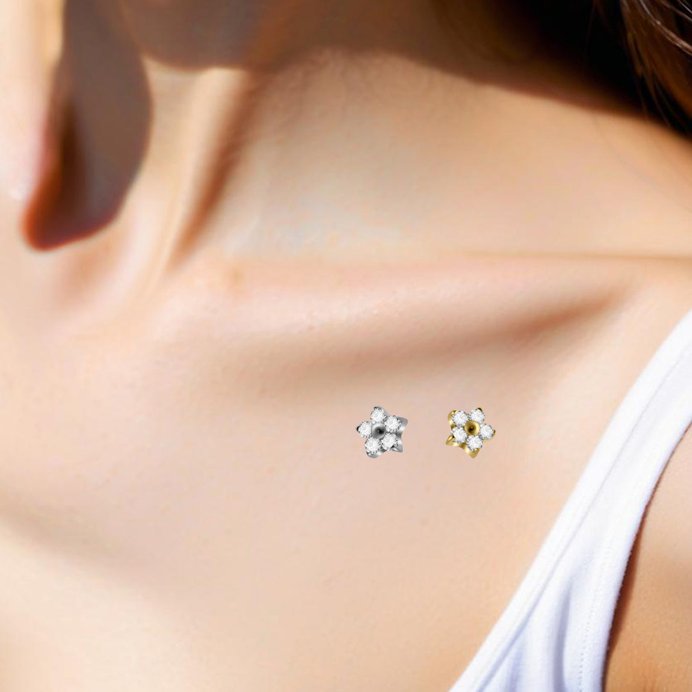 1PC G23 インプラントチタンダーマルアンカー インター - Body Jewelry Dermal のレビューと価格